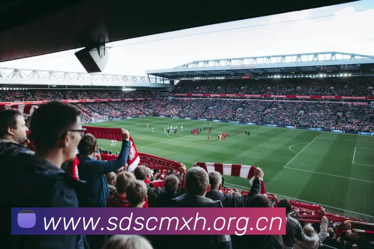 milan登录入口全站App